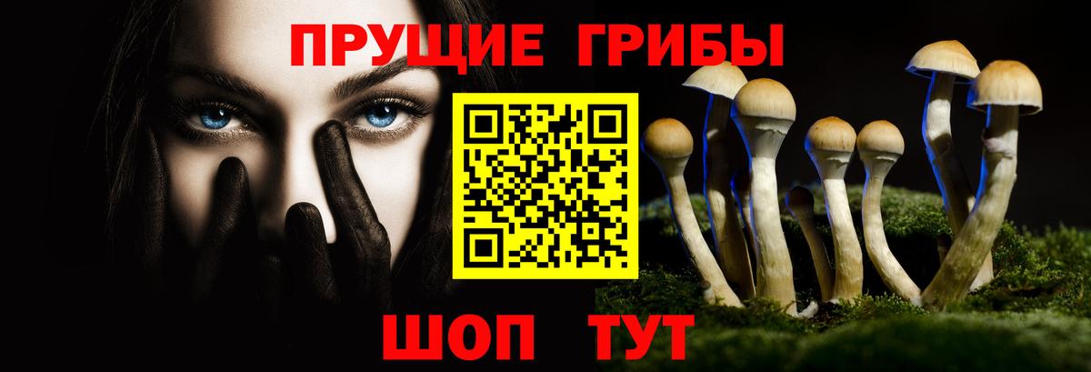 Галлюциногенные грибы GOLDEN TEACHER  Псилоцибиновые грибы Psilocybe  Вход с VPN  Сердобск 